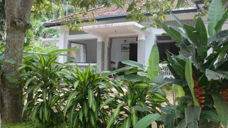 Galle Star