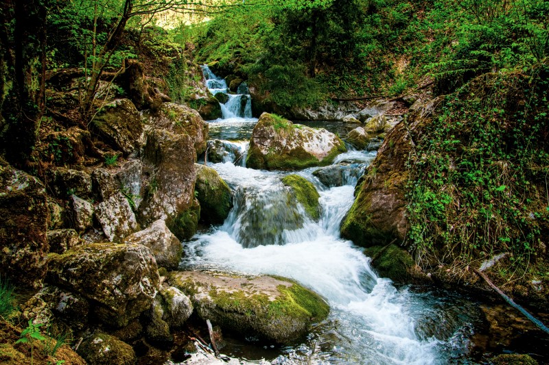 Нижняя Австрия