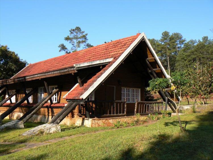 Pinares de Mayari