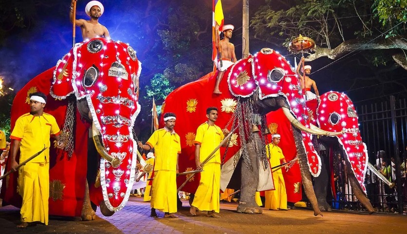 Новогодние туры в Шри-Ланку