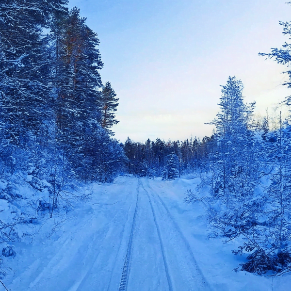 ⚡Карелия на новогодние даты - от 21 000 ₽