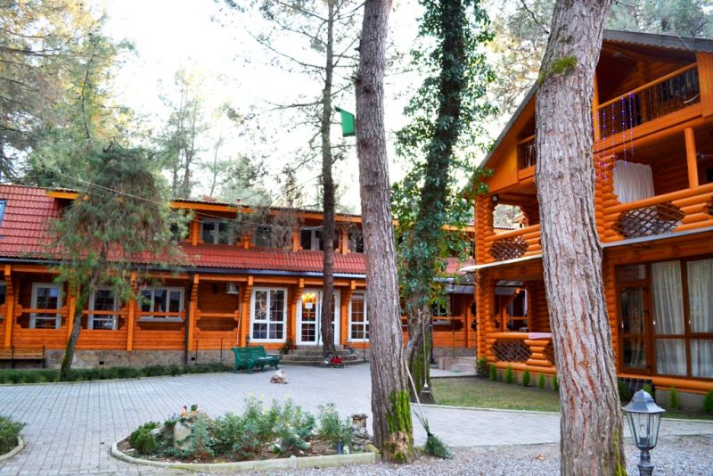 СОСНОВЫЙ БОР