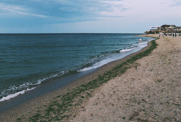 Мамая