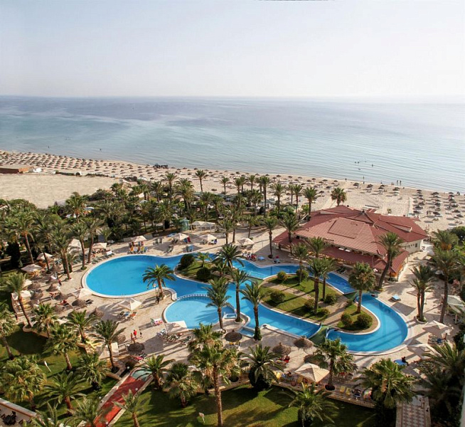 Riadh Palms