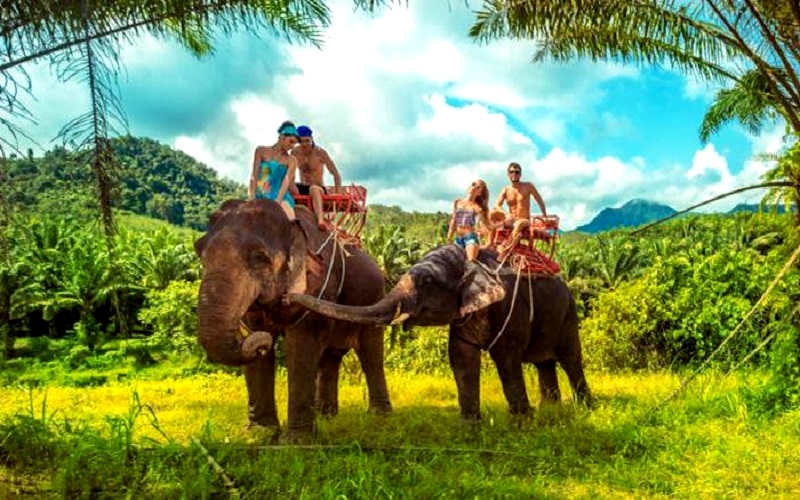 Тур экскурсионный "Драгоценности Шри-Ланки"